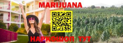 крисы Свободный