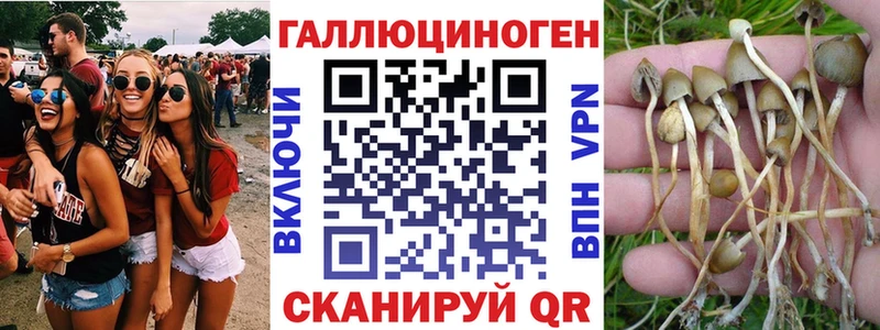 ОМГ ОМГ ссылки  цена   Углич  Галлюциногенные грибы GOLDEN TEACHER 
