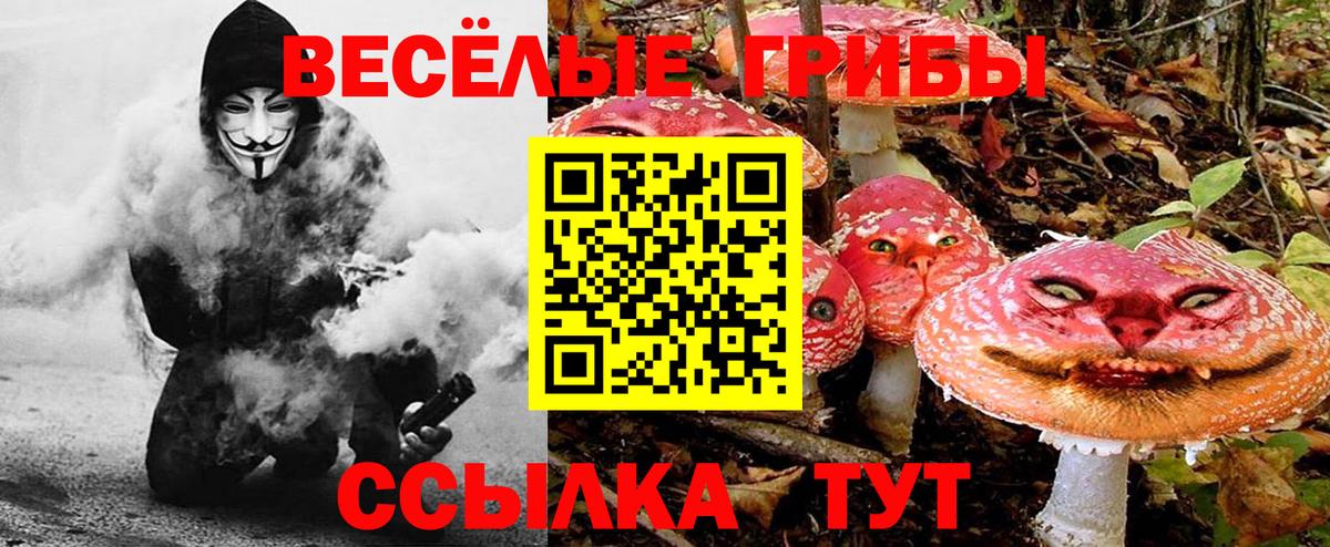 Псилоцибиновые грибы Cubensis  Вход с VPN  Углич 